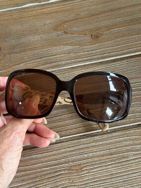 Coach Brown & Cream Women's Sunglasses with Gold Logo Accent